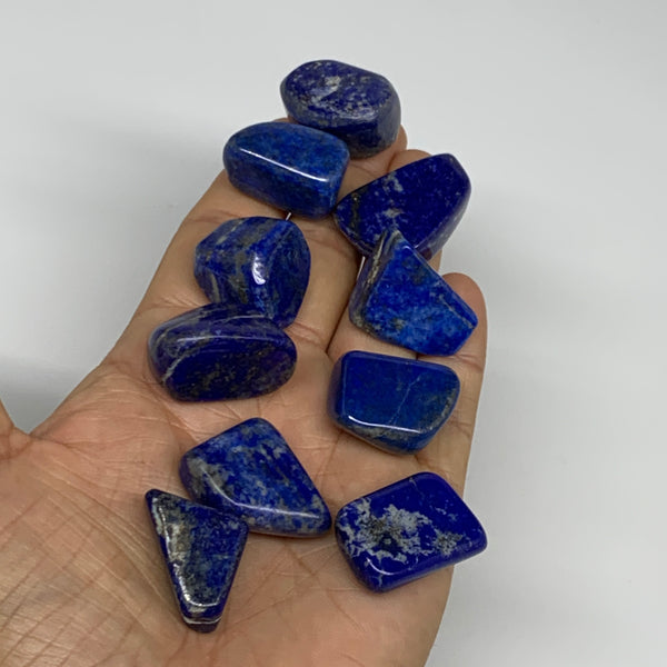 Lapis Lazuli Tumbled Stone - Grade AB