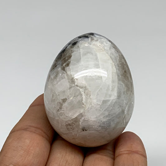 123.9g, 2.1"x1.7", Natural Gemstone White Rainbow Moonstone Egg, B34287