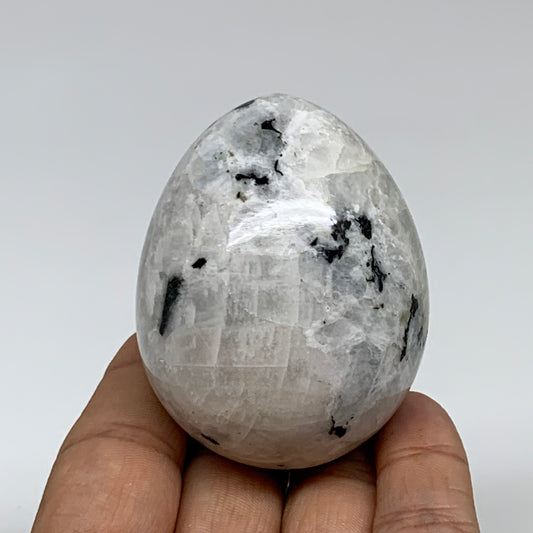 176.8g, 2.3"x1.8", Natural Gemstone White Rainbow Moonstone Egg, B34297