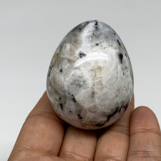 123.2g, 2.1"x1.7", Natural Gemstone White Rainbow Moonstone Egg, B34298