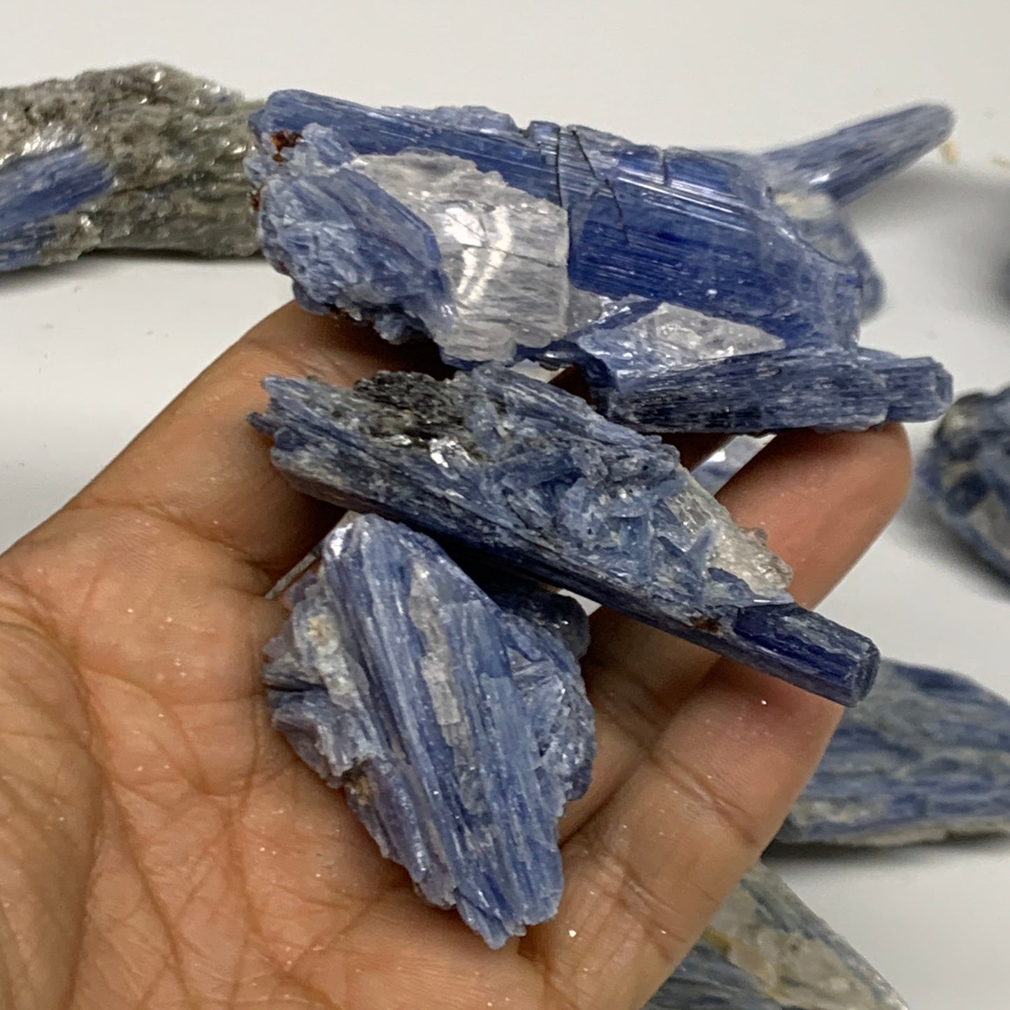 2.32 lbs, 1.6"-4", 21pcs, Rough Blue Kyanite Crystal Minerals Specimens,B33117