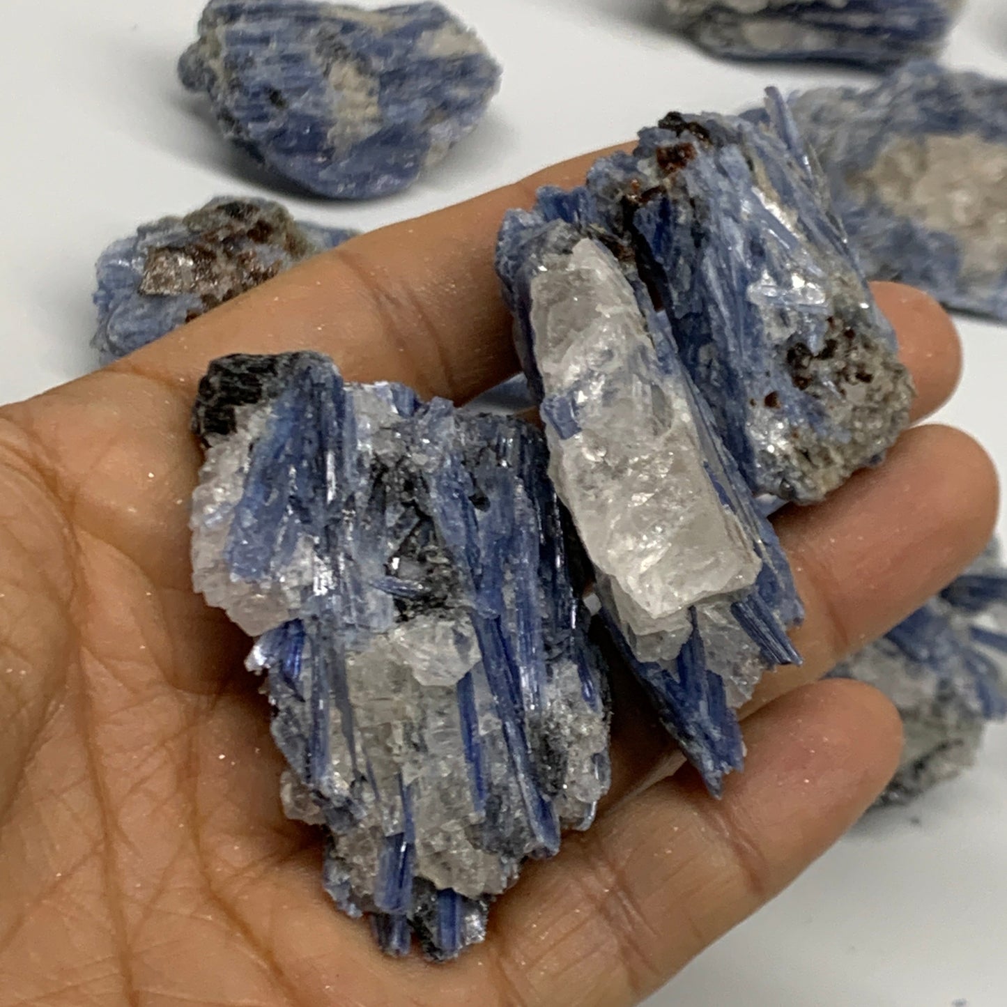 2.32 lbs, 1.6"-4", 21pcs, Rough Blue Kyanite Crystal Minerals Specimens,B33117