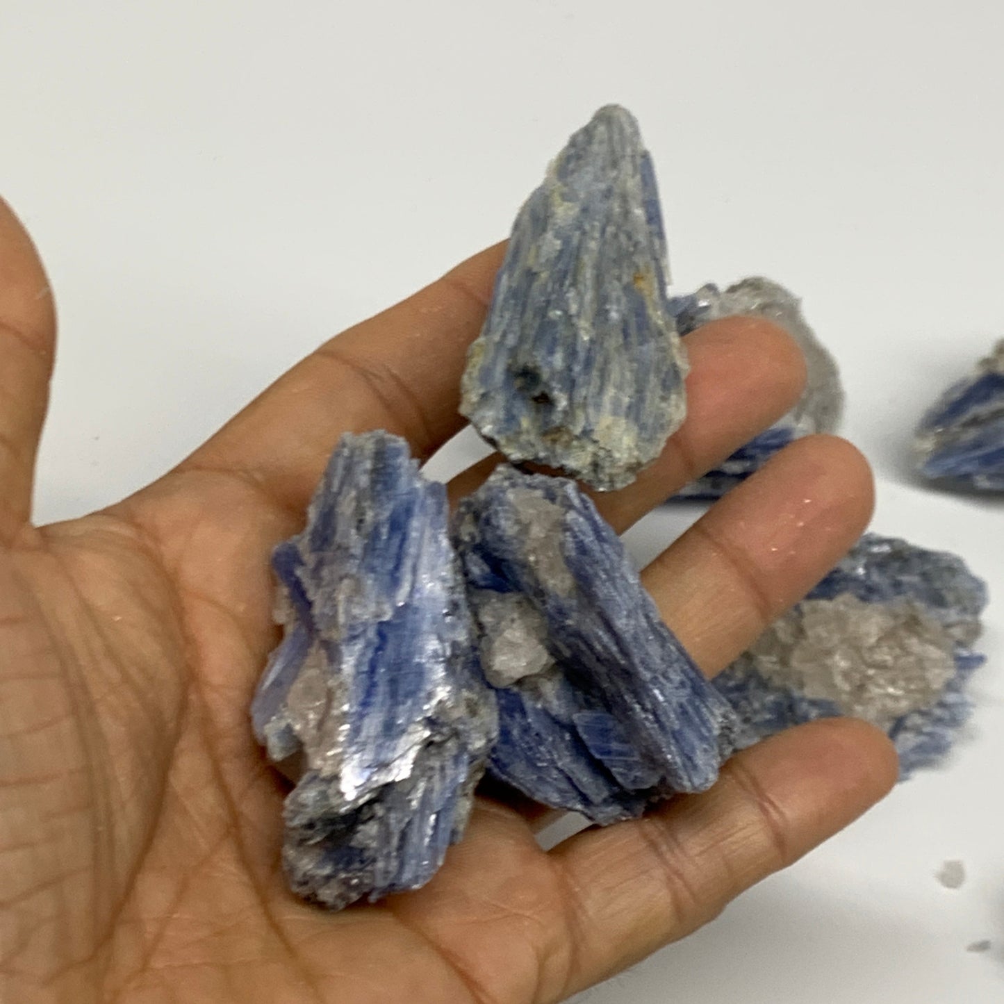 2.32 lbs, 1.6"-4", 21pcs, Rough Blue Kyanite Crystal Minerals Specimens,B33117