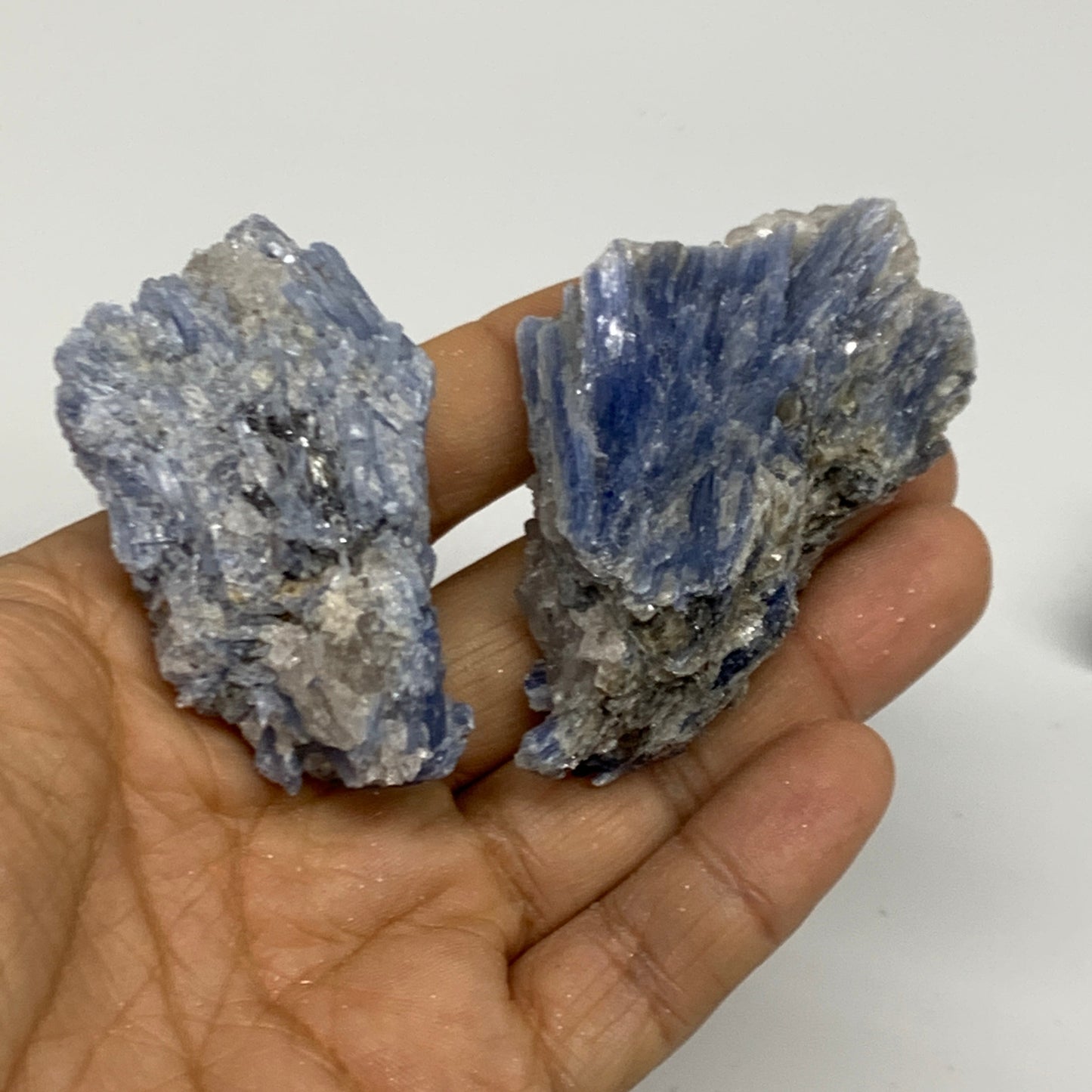 2.32 lbs, 1.6"-4", 21pcs, Rough Blue Kyanite Crystal Minerals Specimens,B33117