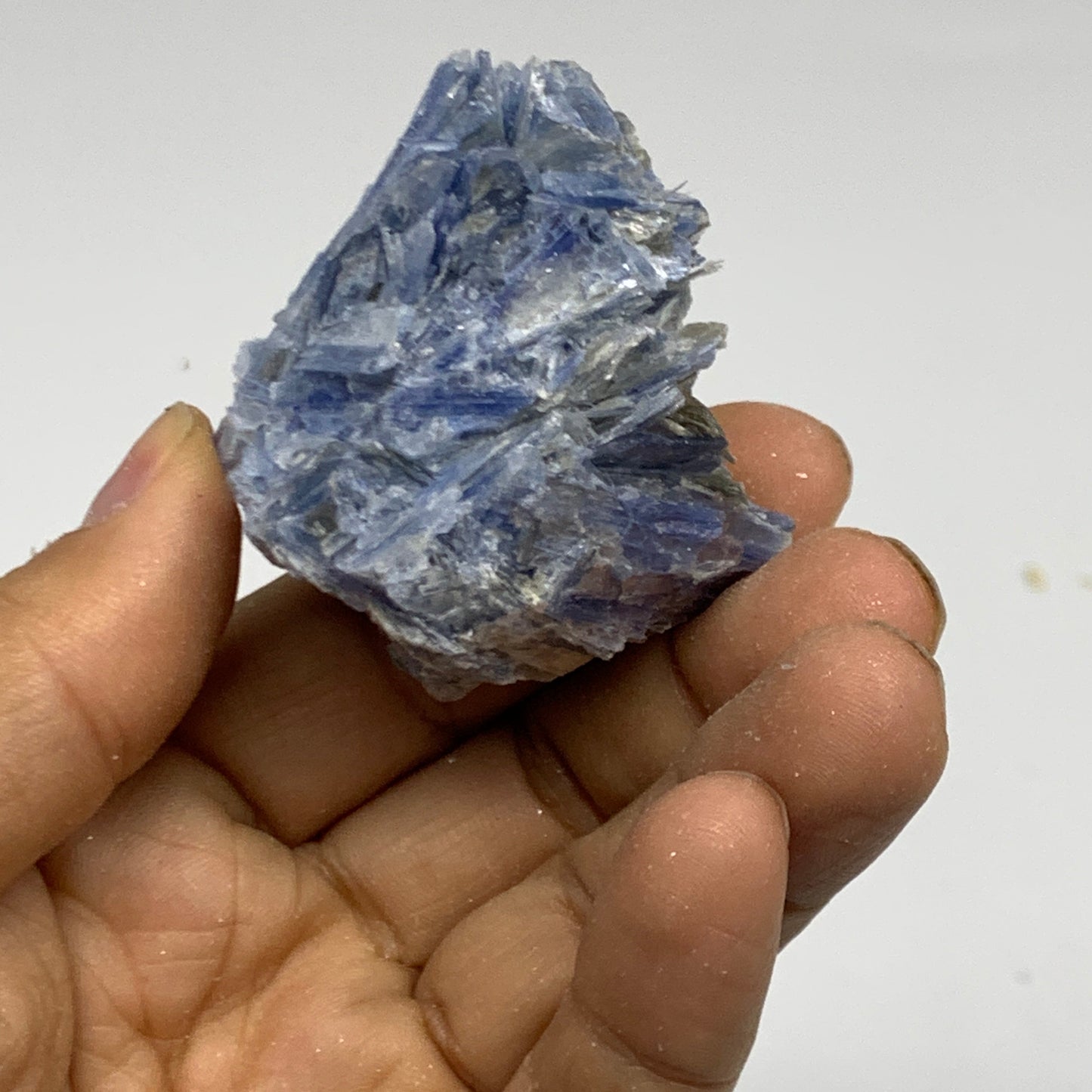 2.32 lbs, 1.6"-4", 21pcs, Rough Blue Kyanite Crystal Minerals Specimens,B33117