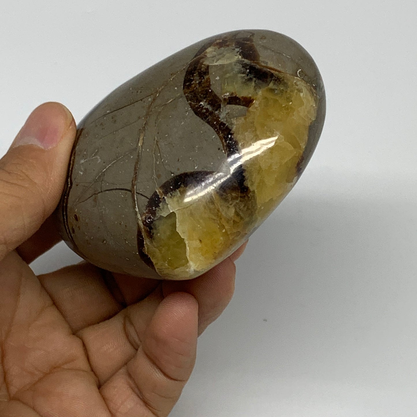 0.61 lbs, 2.7"x3"x1.5" Septarian Nodules Heart Polished Healing Crystal, B31013