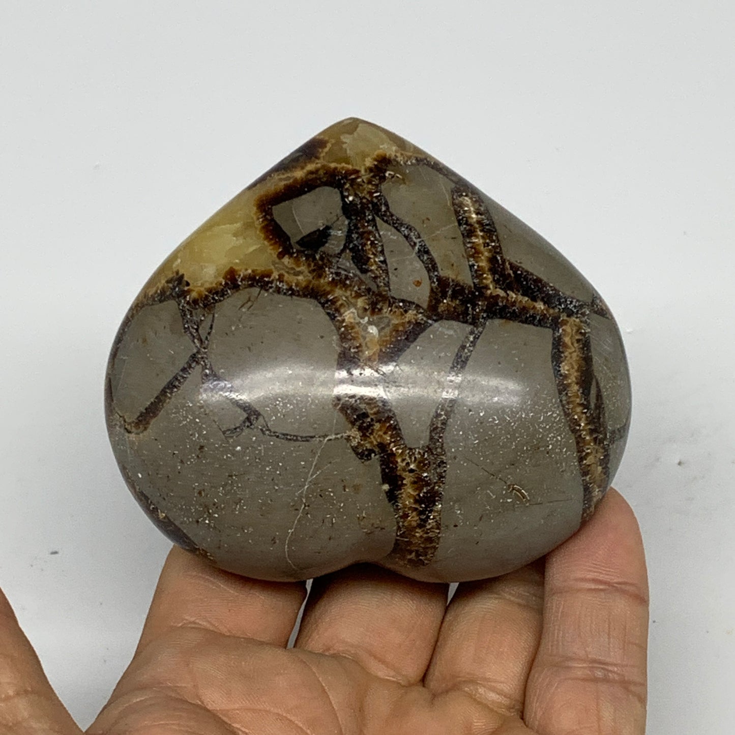 0.54 lbs, 2.7"x3"x1.4" Septarian Nodules Heart Polished Healing Crystal, B31014