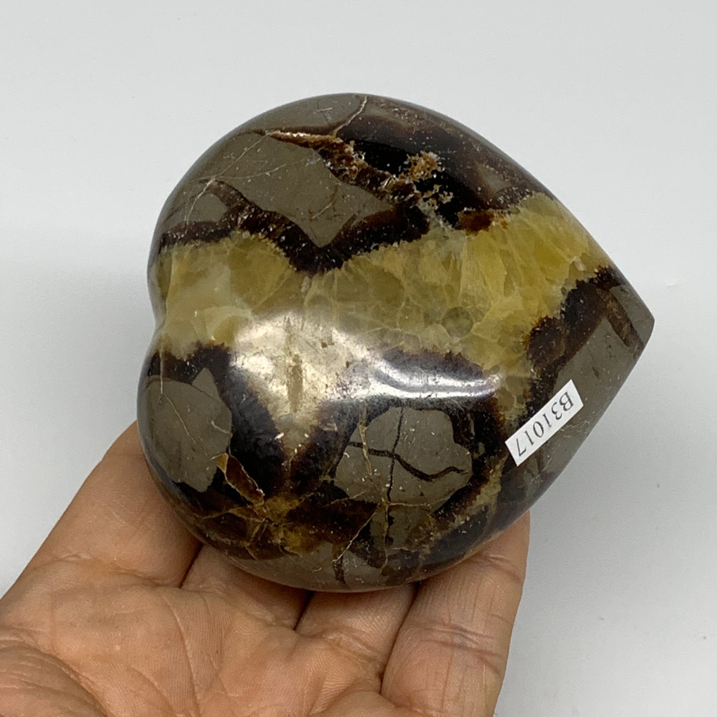 0.73 lbs, 3"x3.1"x1.6" Septarian Nodules Heart Polished Healing Crystal, B31017