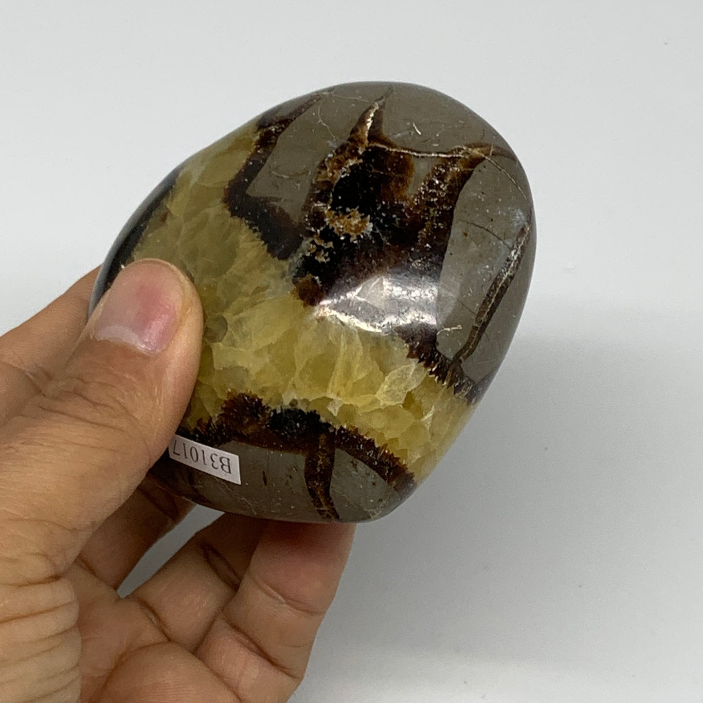 0.73 lbs, 3"x3.1"x1.6" Septarian Nodules Heart Polished Healing Crystal, B31017