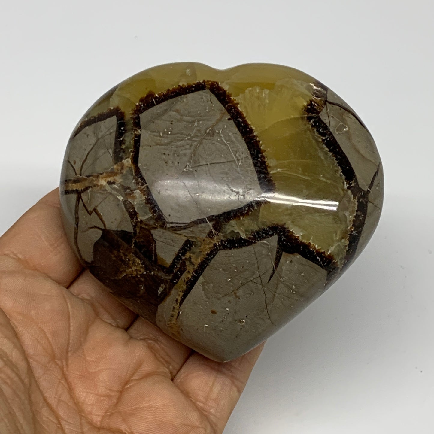 0.67 lbs, 3"x3.1"x1.5" Septarian Nodules Heart Polished Healing Crystal, B31022