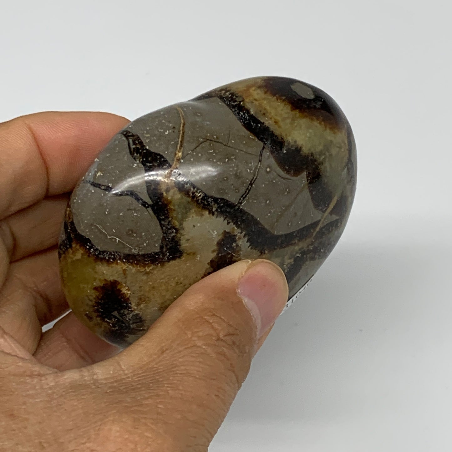 0.49 lbs, 2.5"x2.9"x1.3" Septarian Nodules Heart Polished Healing Crystal, B3104