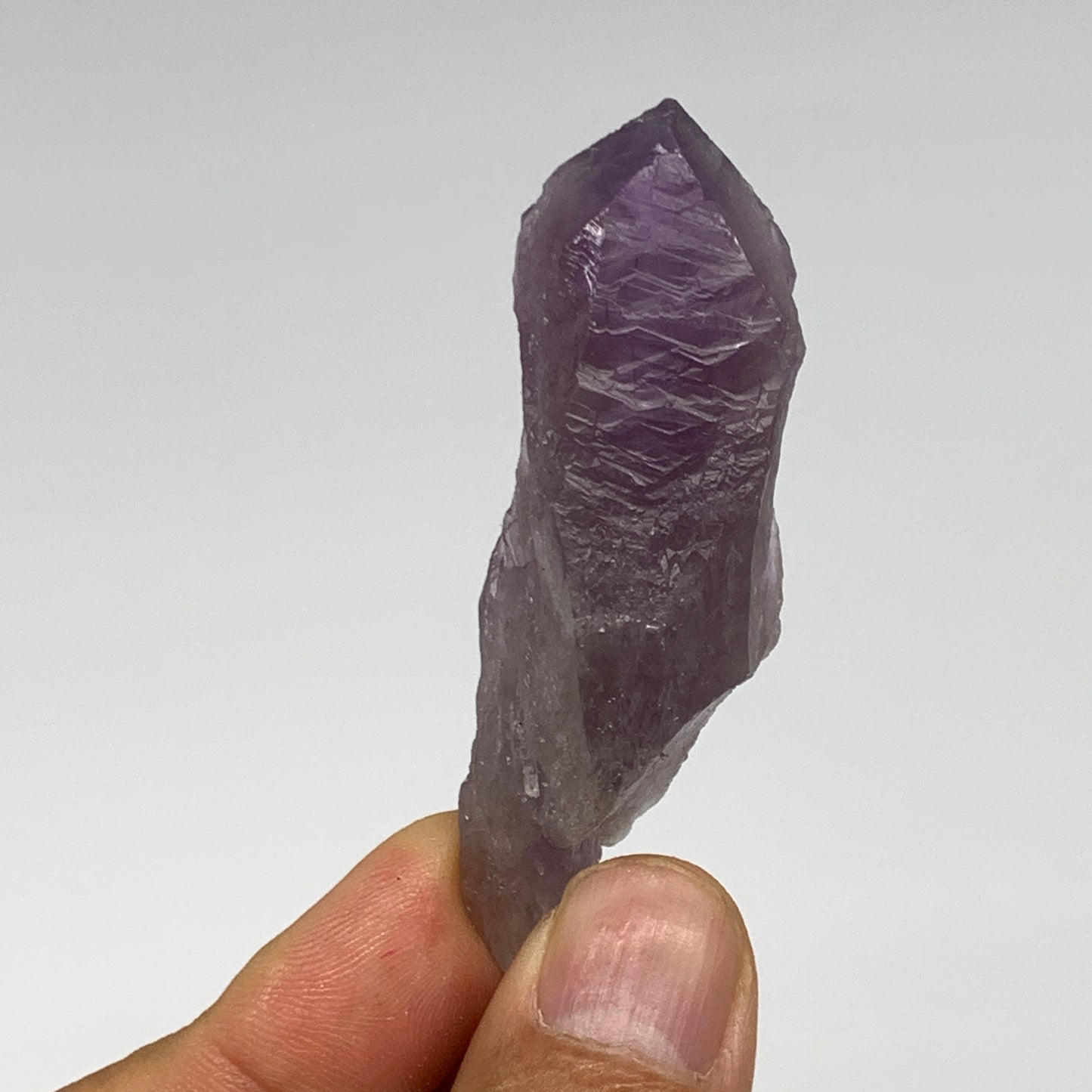 143.7g, 1.9" - 2.6", 5pcs, Amethyst Point Polished Rough lower part @Brazil, B28