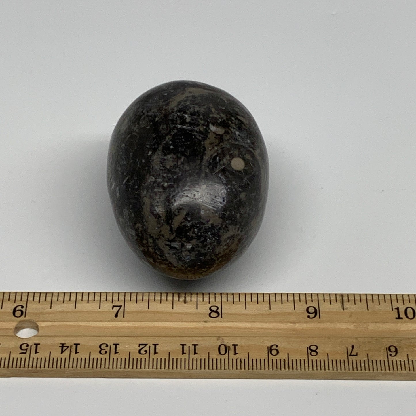 168.2g, 2.4"x1.7", Natural Fossil Orthoceras Stone Egg from Morocco, B31057