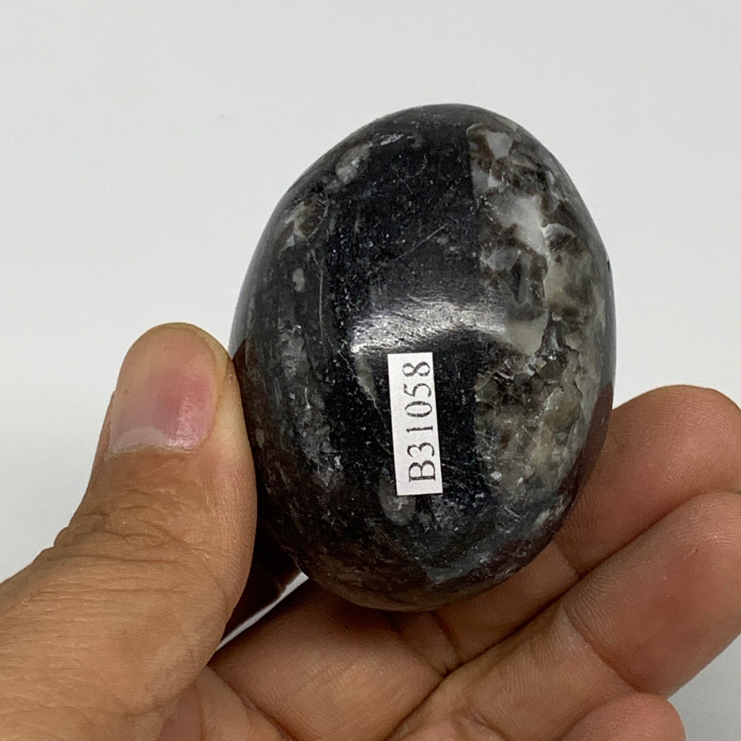 125.6g, 2.1"x1.6", Natural Fossil Orthoceras Stone Egg from Morocco, B31058