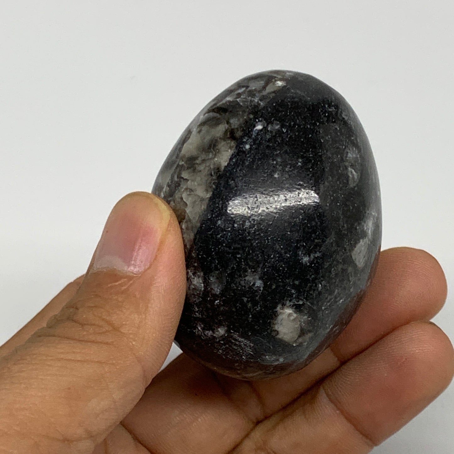 125.6g, 2.1"x1.6", Natural Fossil Orthoceras Stone Egg from Morocco, B31058