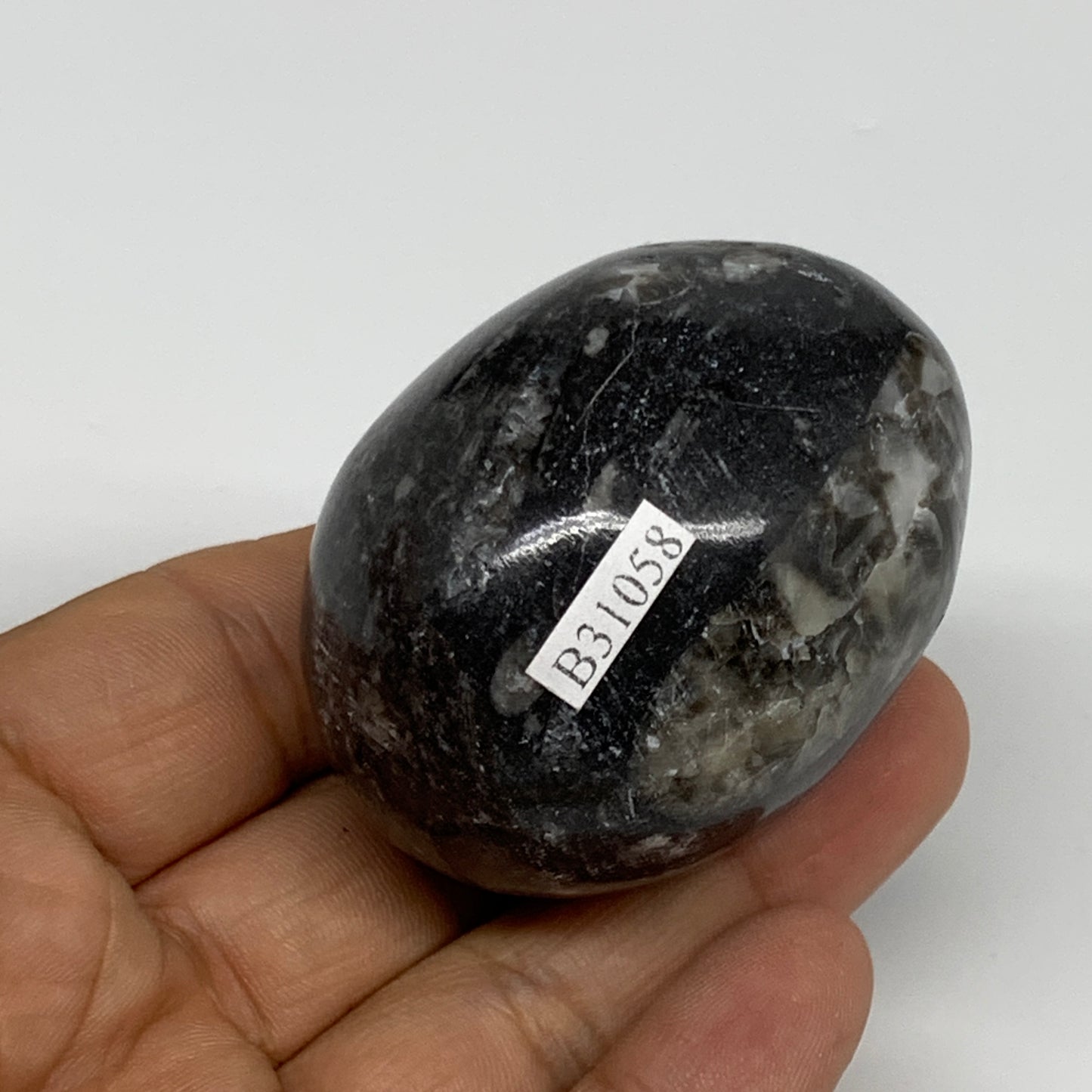 125.6g, 2.1"x1.6", Natural Fossil Orthoceras Stone Egg from Morocco, B31058