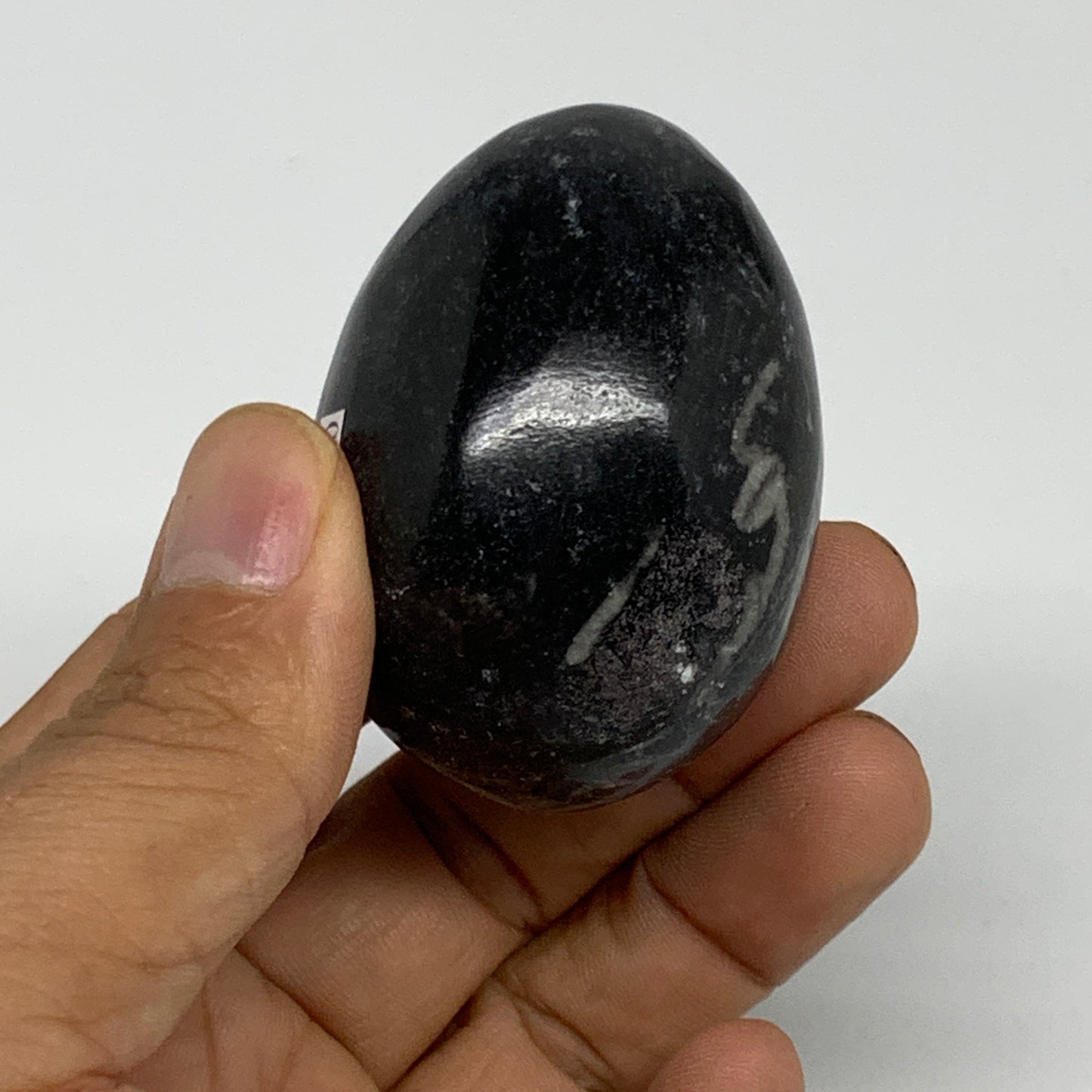 107g, 2"x1.5", Natural Fossil Orthoceras Stone Egg from Morocco, B31060