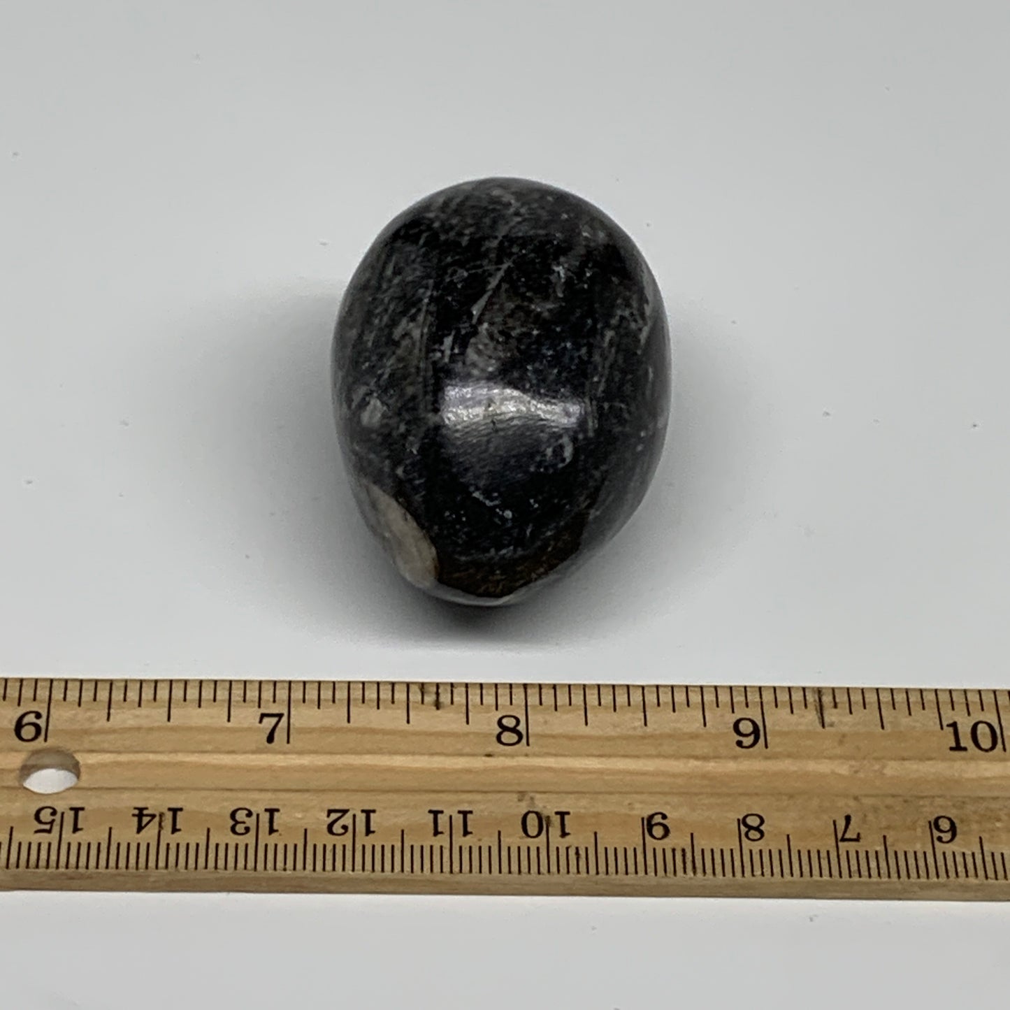 107g, 2"x1.5", Natural Fossil Orthoceras Stone Egg from Morocco, B31060