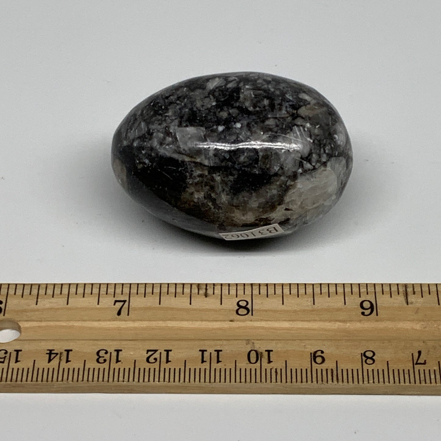 90.9g, 2"x1.3", Natural Fossil Orthoceras Stone Egg from Morocco, B31062