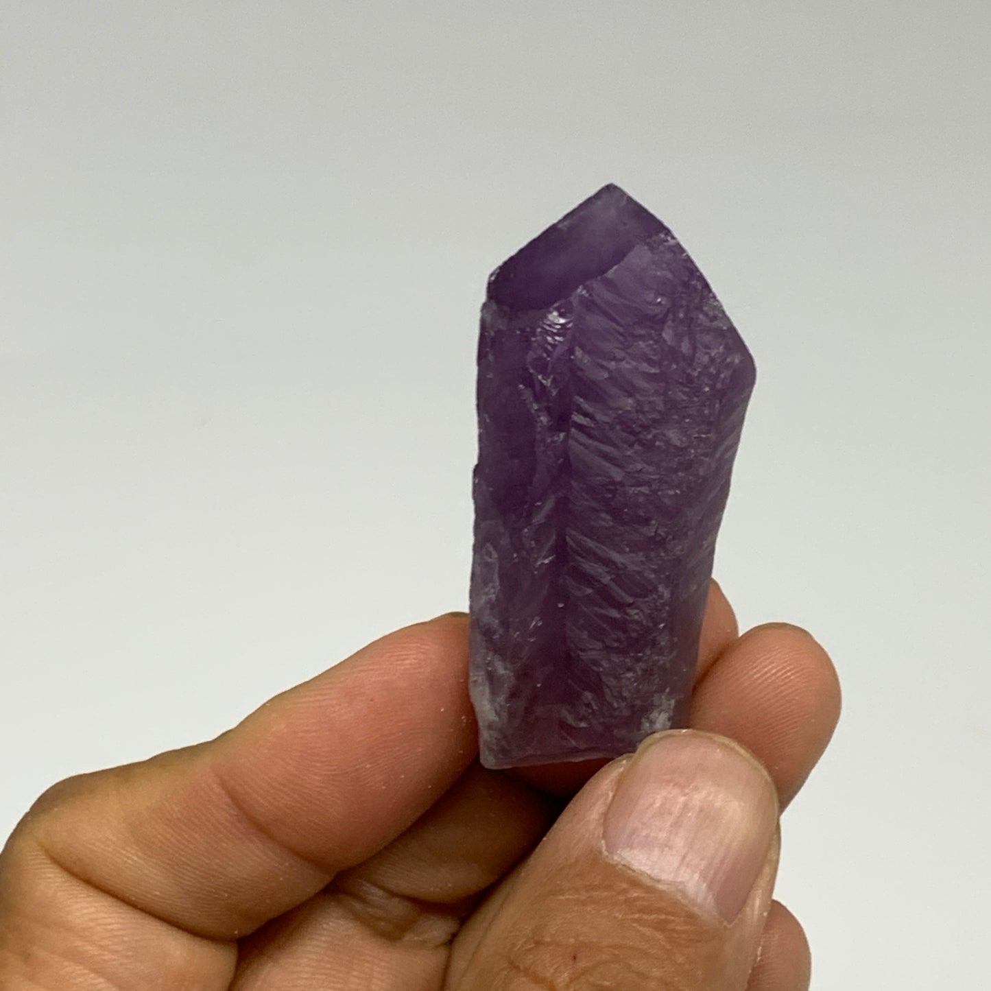 113.1g, 1.9" - 2.6", 8pcs, Amethyst Point Polished Rough lower part @Brazil, B28