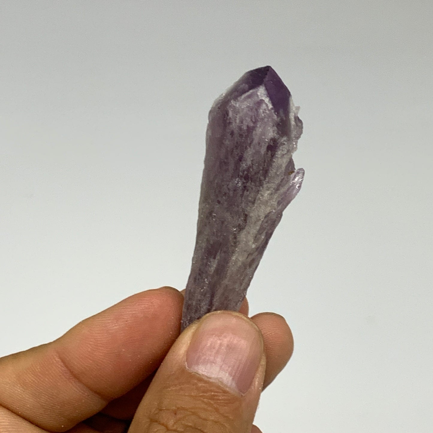 113.1g, 1.9" - 2.6", 8pcs, Amethyst Point Polished Rough lower part @Brazil, B28