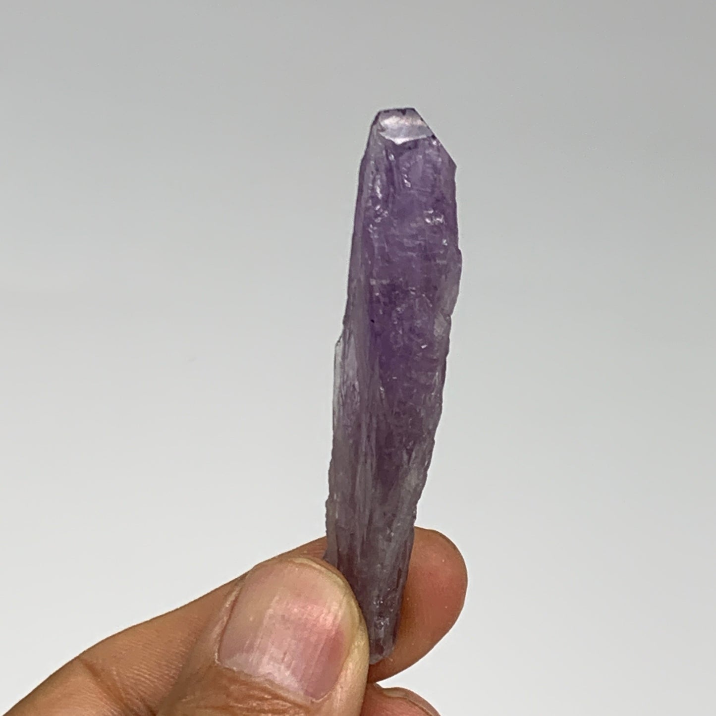 135.9g, 2.3" - 2.6", 10pcs, Amethyst Point Polished Rough lower part @Brazil, B2