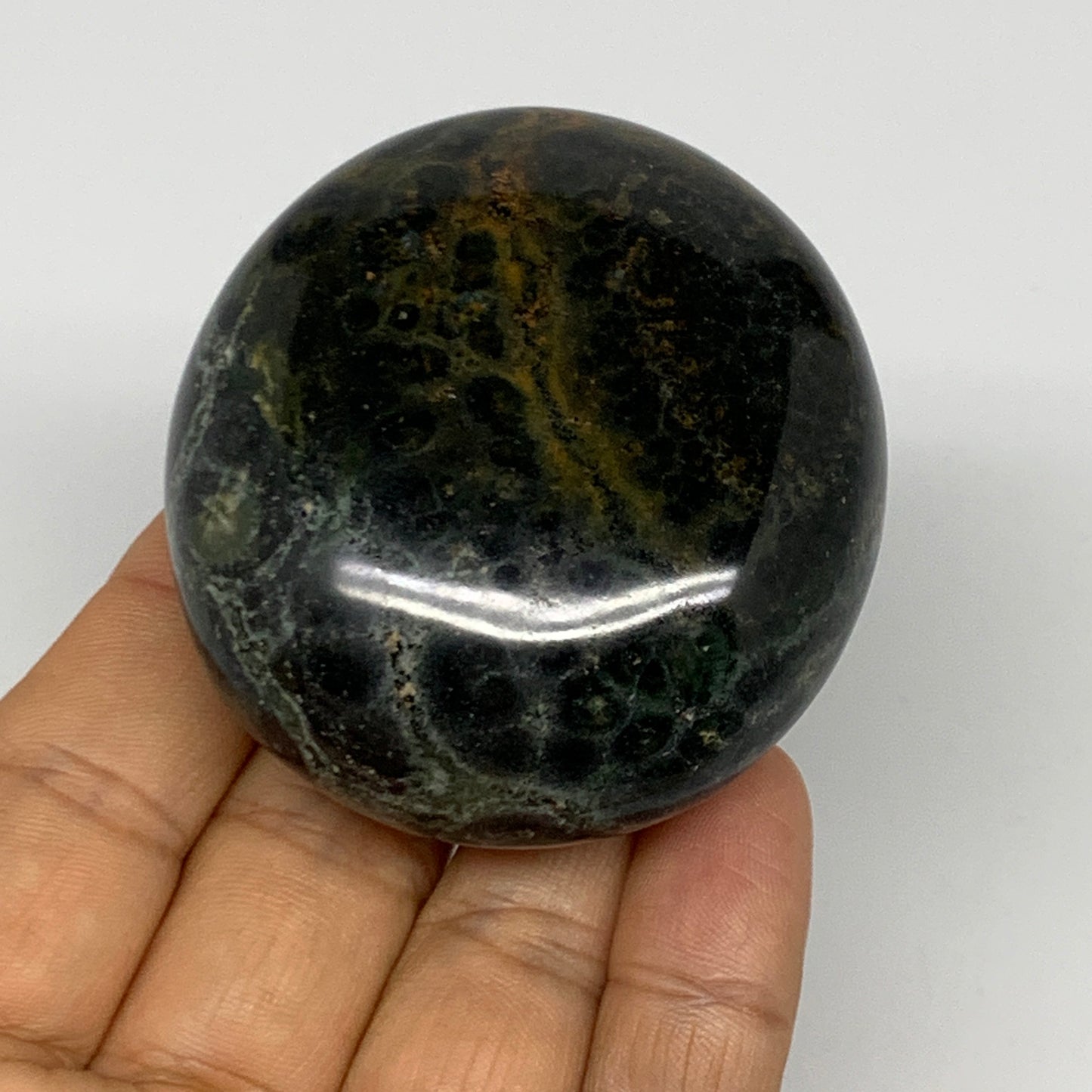 139g, 2.3"x2.2"x1.1", Crocodile Kambaba Jasper Palm-Stone @Madagascar, B28070