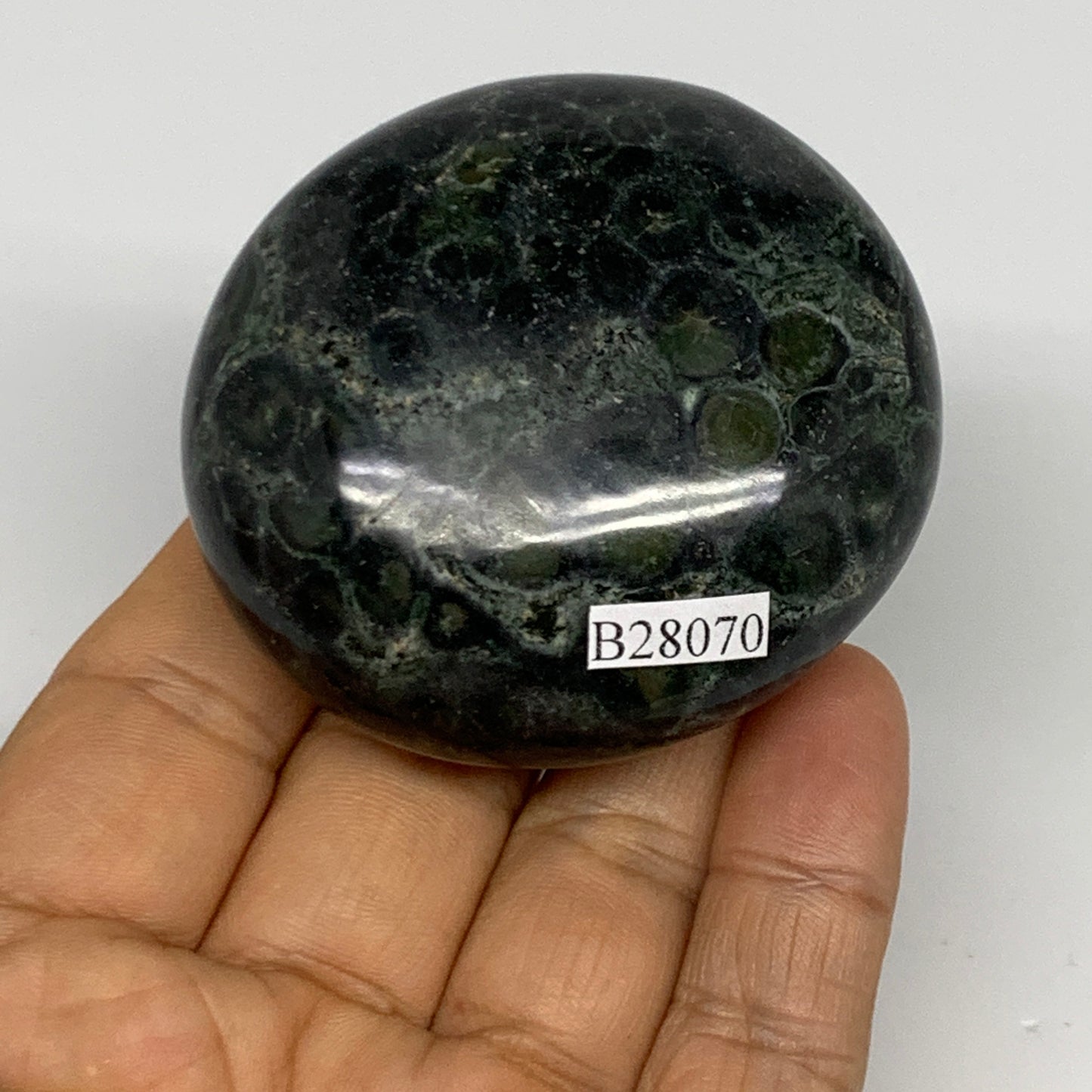 139g, 2.3"x2.2"x1.1", Crocodile Kambaba Jasper Palm-Stone @Madagascar, B28070