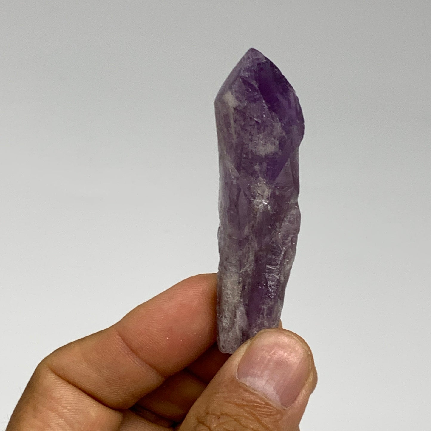 103g, 2.6 - 3", 5pcs, Amethyst Point Polished Rough lower part @Brazil, B28864