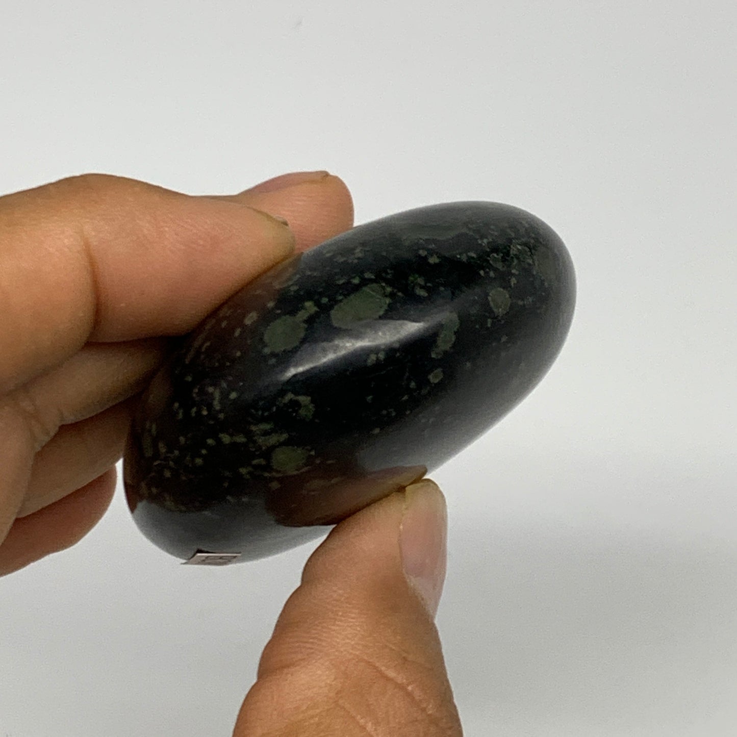 119g, 2.5"x2"x1", Crocodile Kambaba Jasper Palm-Stone @Madagascar, B28071