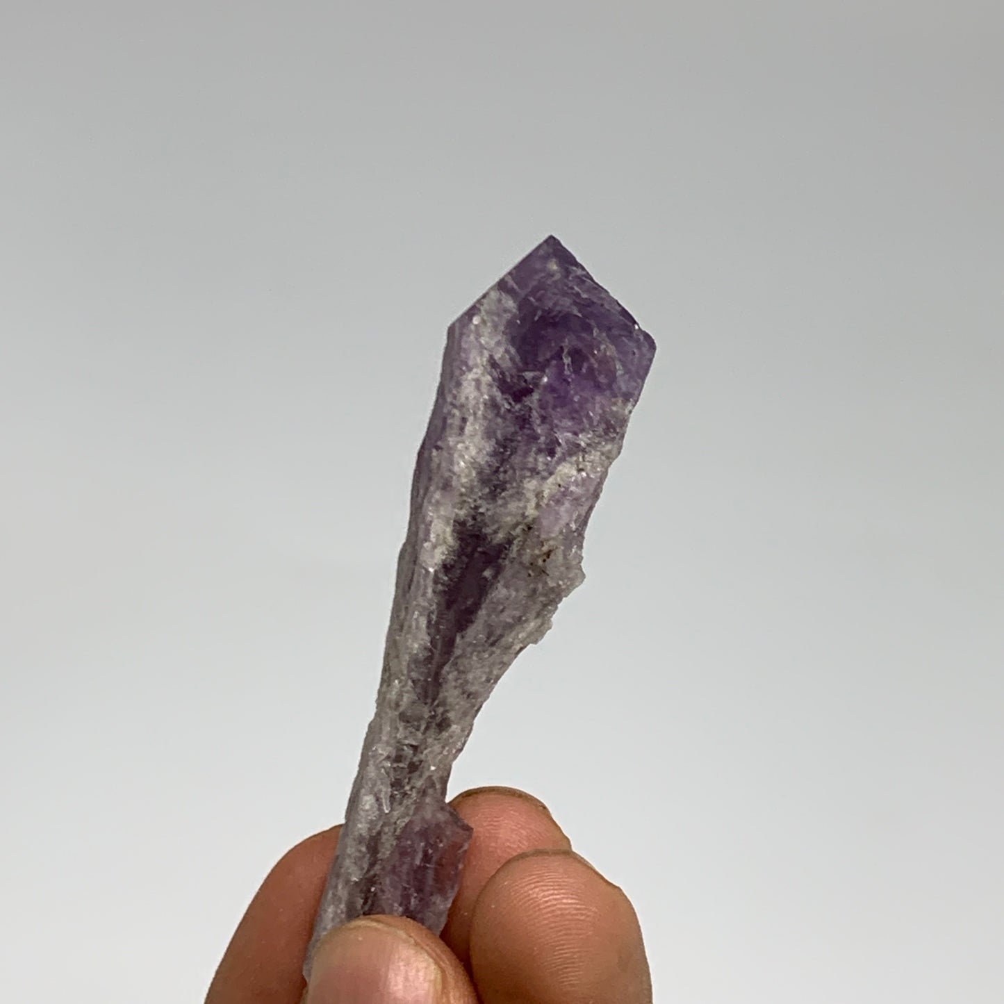 103g, 2.6 - 3", 5pcs, Amethyst Point Polished Rough lower part @Brazil, B28864