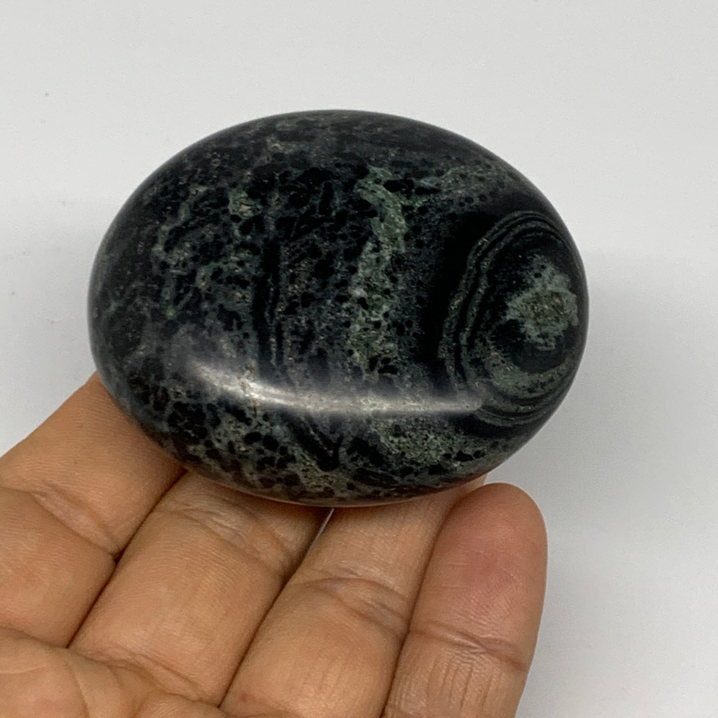 113.3g, 2.4"x2.1"x0.9", Crocodile Kambaba Jasper Palm-Stone @Madagascar, B28074