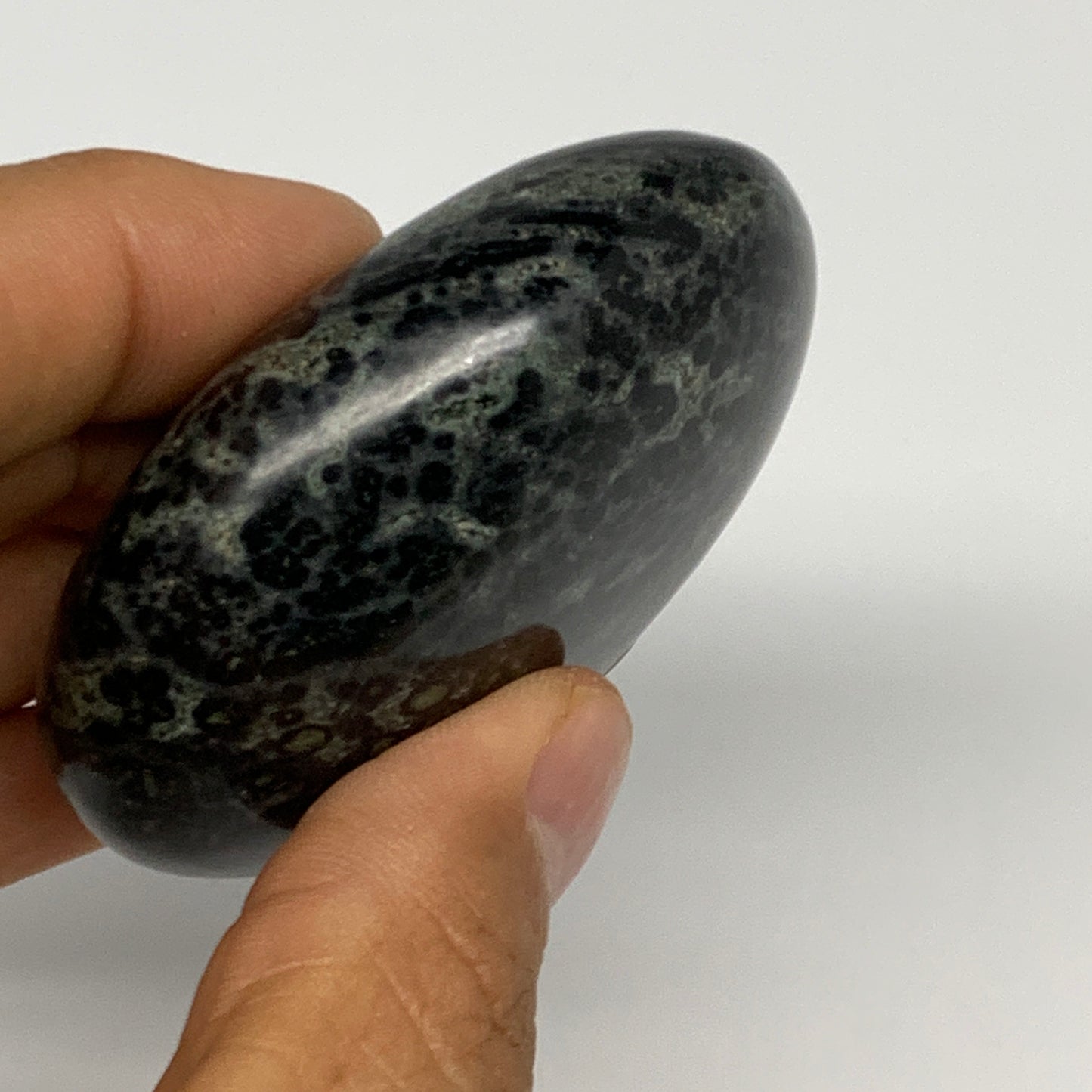 113.3g, 2.4"x2.1"x0.9", Crocodile Kambaba Jasper Palm-Stone @Madagascar, B28074