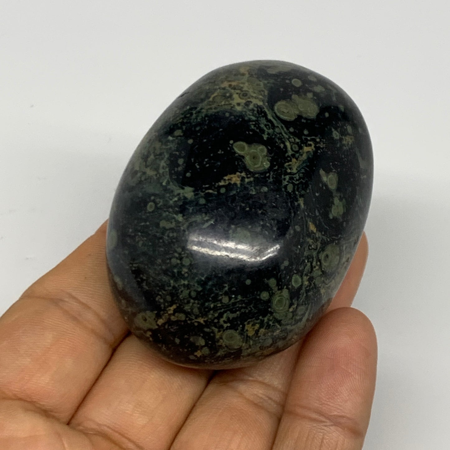 121.6g, 2.4"x1.7"x1.3", Crocodile Kambaba Jasper Palm-Stone @Madagascar, B28075