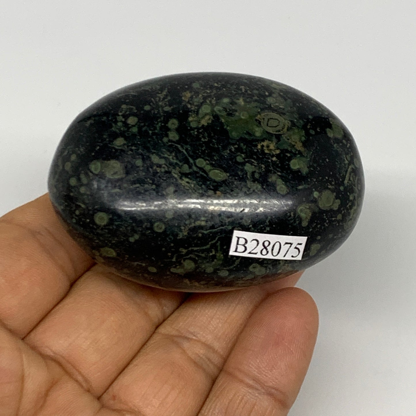 121.6g, 2.4"x1.7"x1.3", Crocodile Kambaba Jasper Palm-Stone @Madagascar, B28075