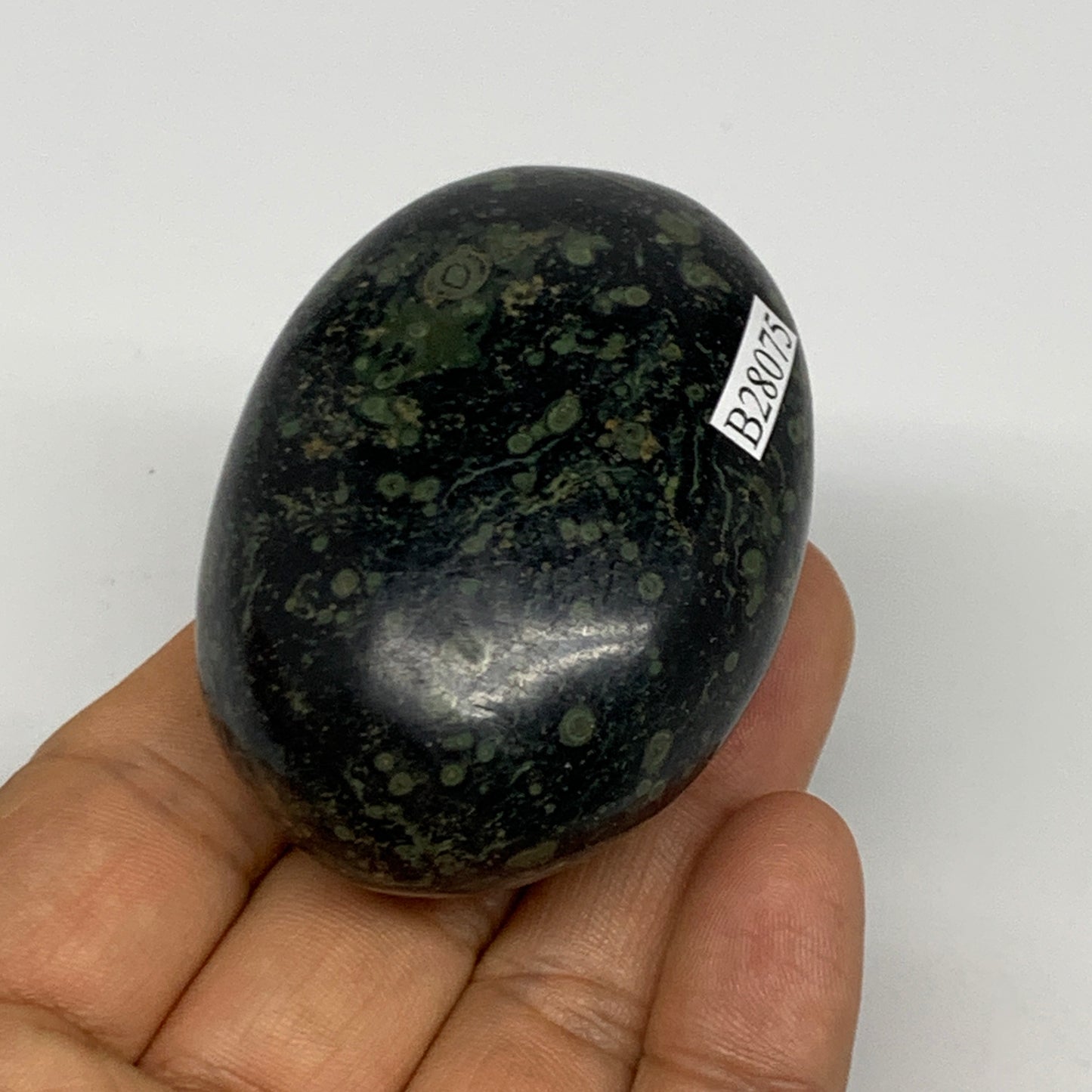 121.6g, 2.4"x1.7"x1.3", Crocodile Kambaba Jasper Palm-Stone @Madagascar, B28075