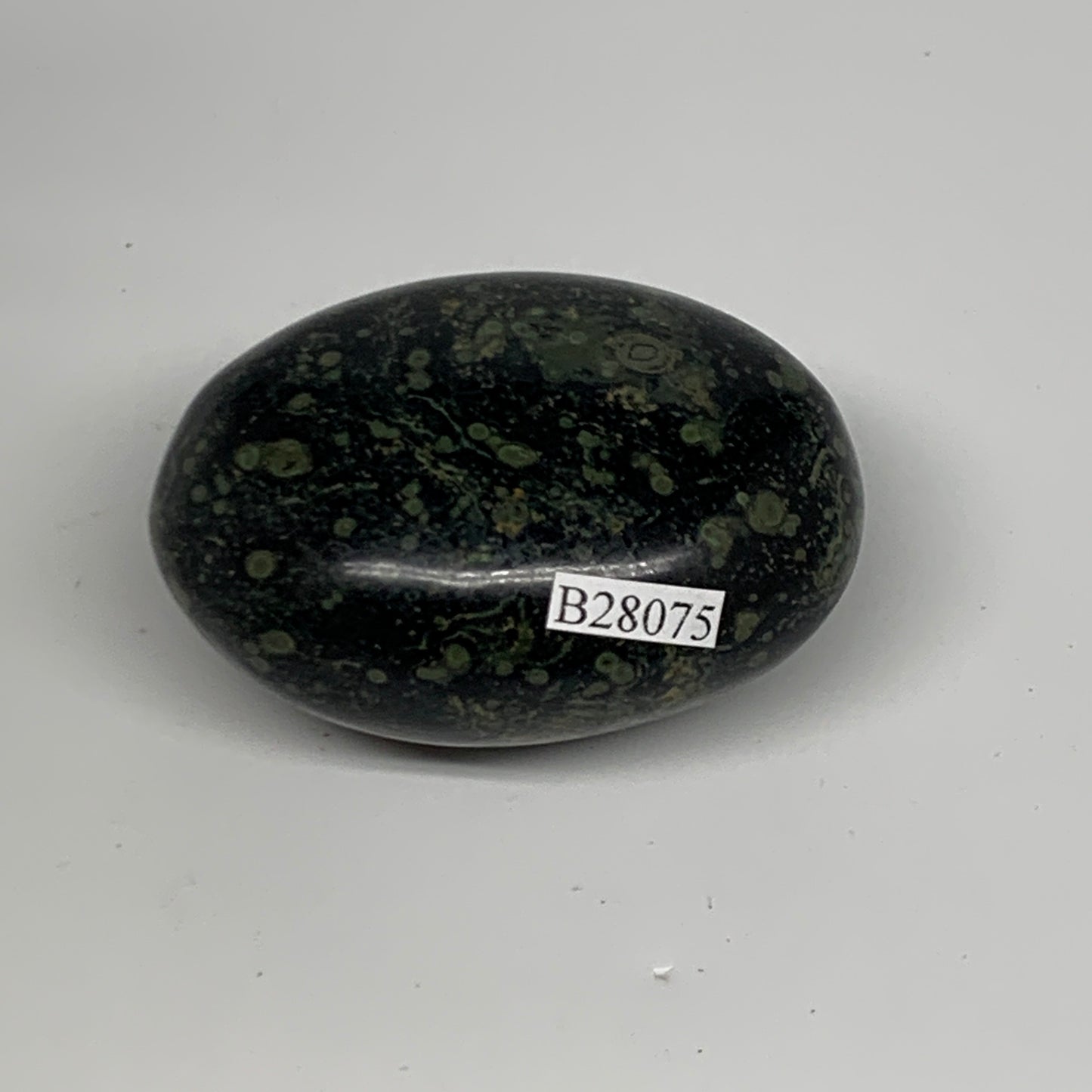 121.6g, 2.4"x1.7"x1.3", Crocodile Kambaba Jasper Palm-Stone @Madagascar, B28075