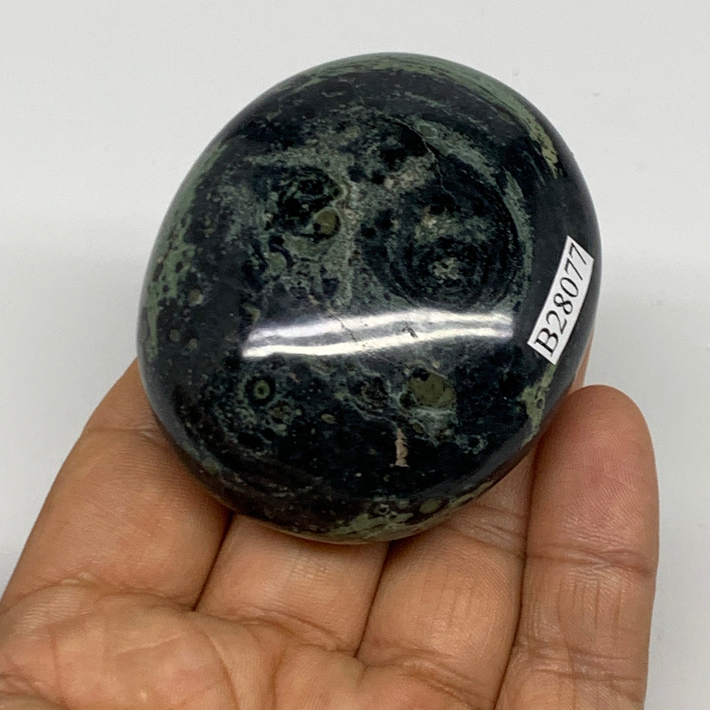 118g, 2.4"x2"x1", Crocodile Kambaba Jasper Palm-Stone @Madagascar, B28077