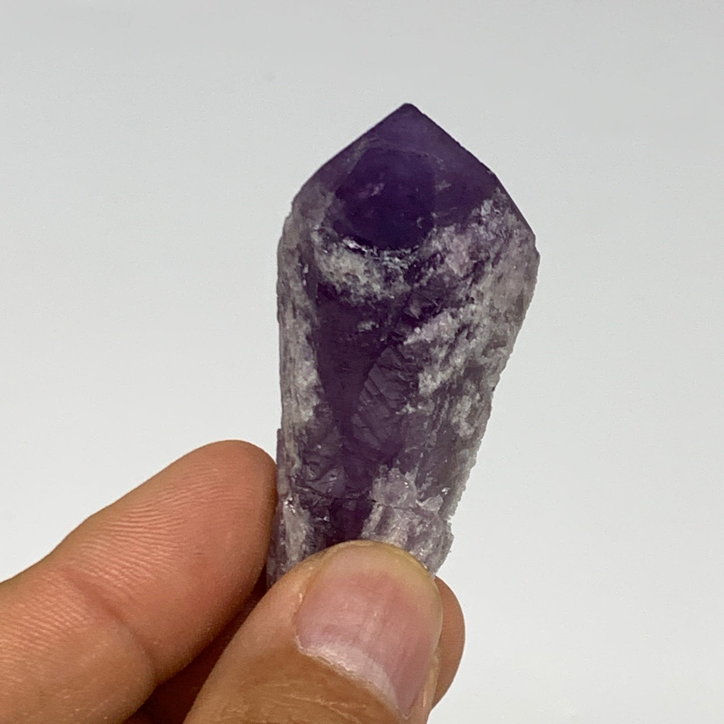 126g, 2" - 2.3",5pcs, Amethyst Point Polished Rough lower part @Brazil, B28872