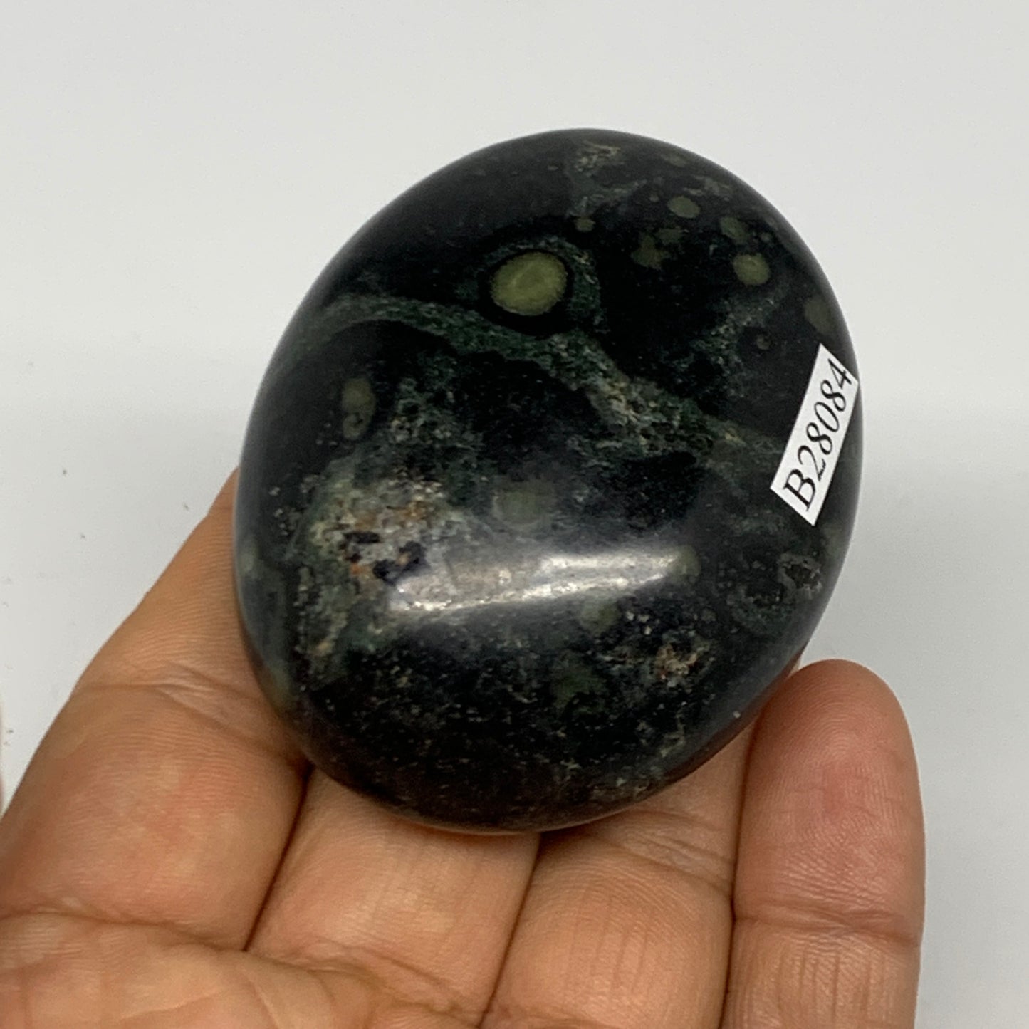 103.6g, 2.3"x1.9"x1", Crocodile Kambaba Jasper Palm-Stone @Madagascar, B28084