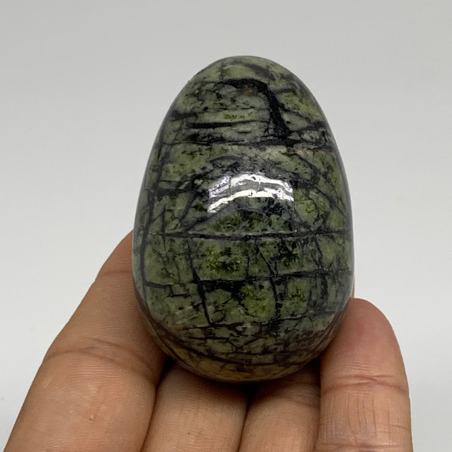 123.6g, 2.2"x1.5" Natural Green Serpentine Egg Polished Gemstone, B35300