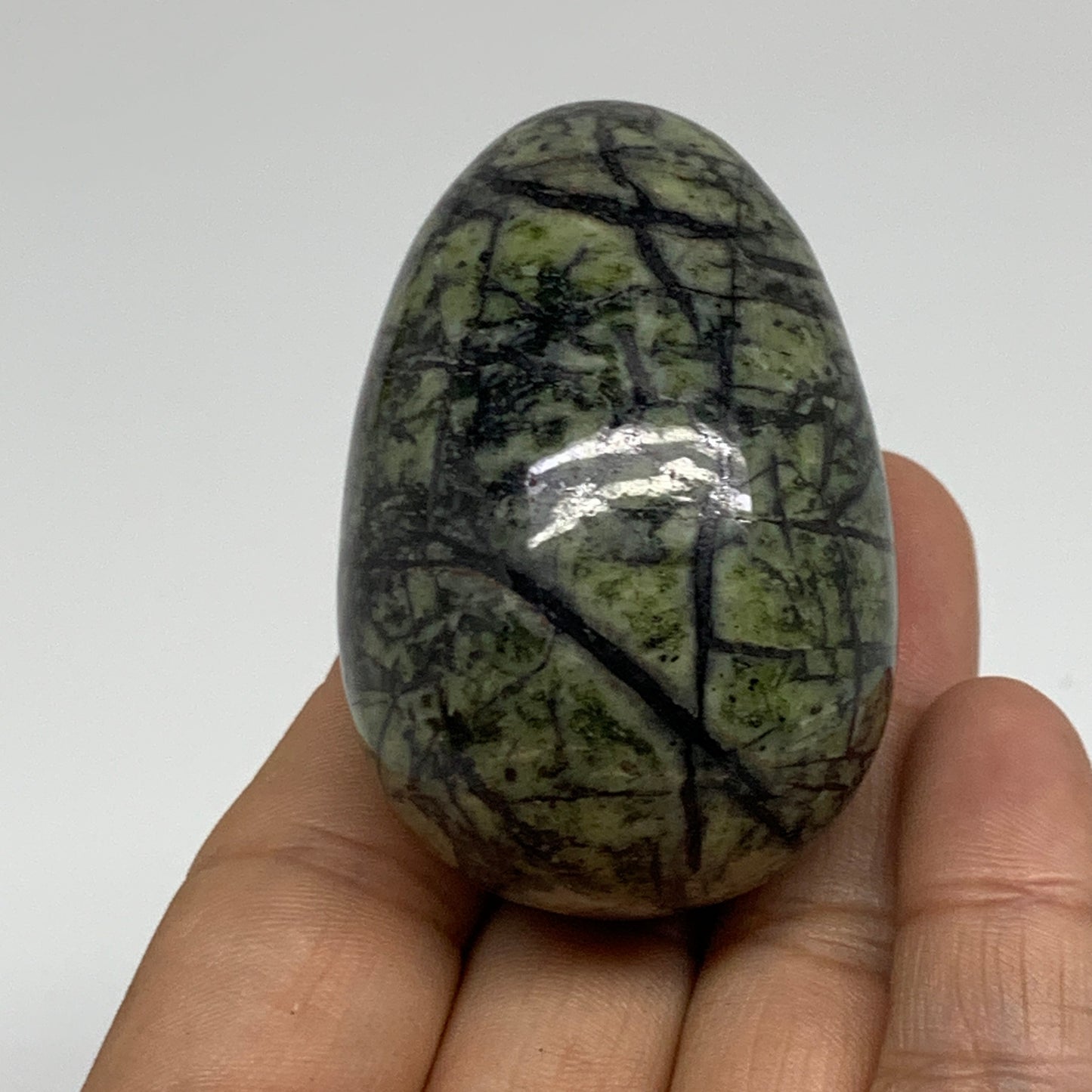 123.6g, 2.2"x1.5" Natural Green Serpentine Egg Polished Gemstone, B35300