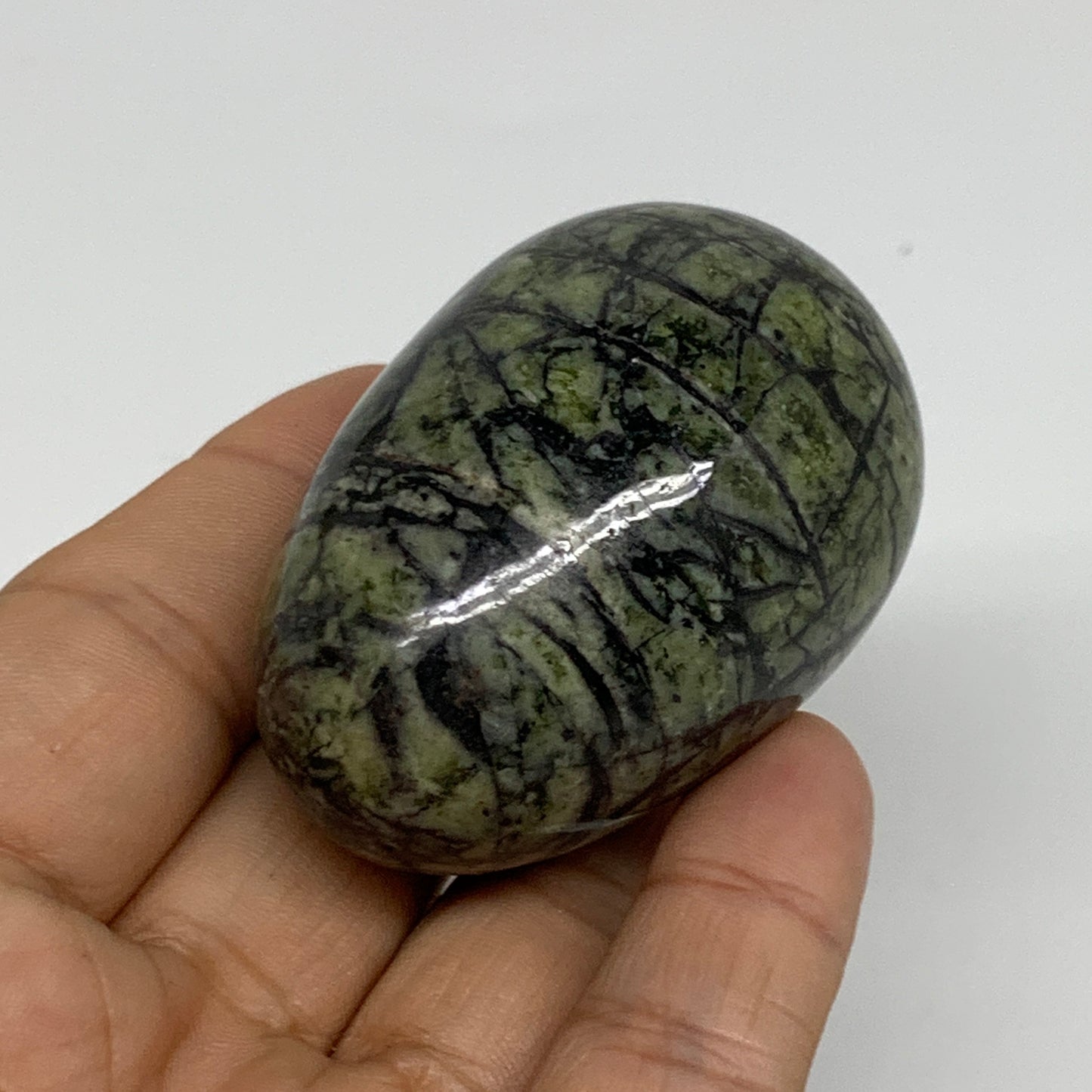 123.6g, 2.2"x1.5" Natural Green Serpentine Egg Polished Gemstone, B35300