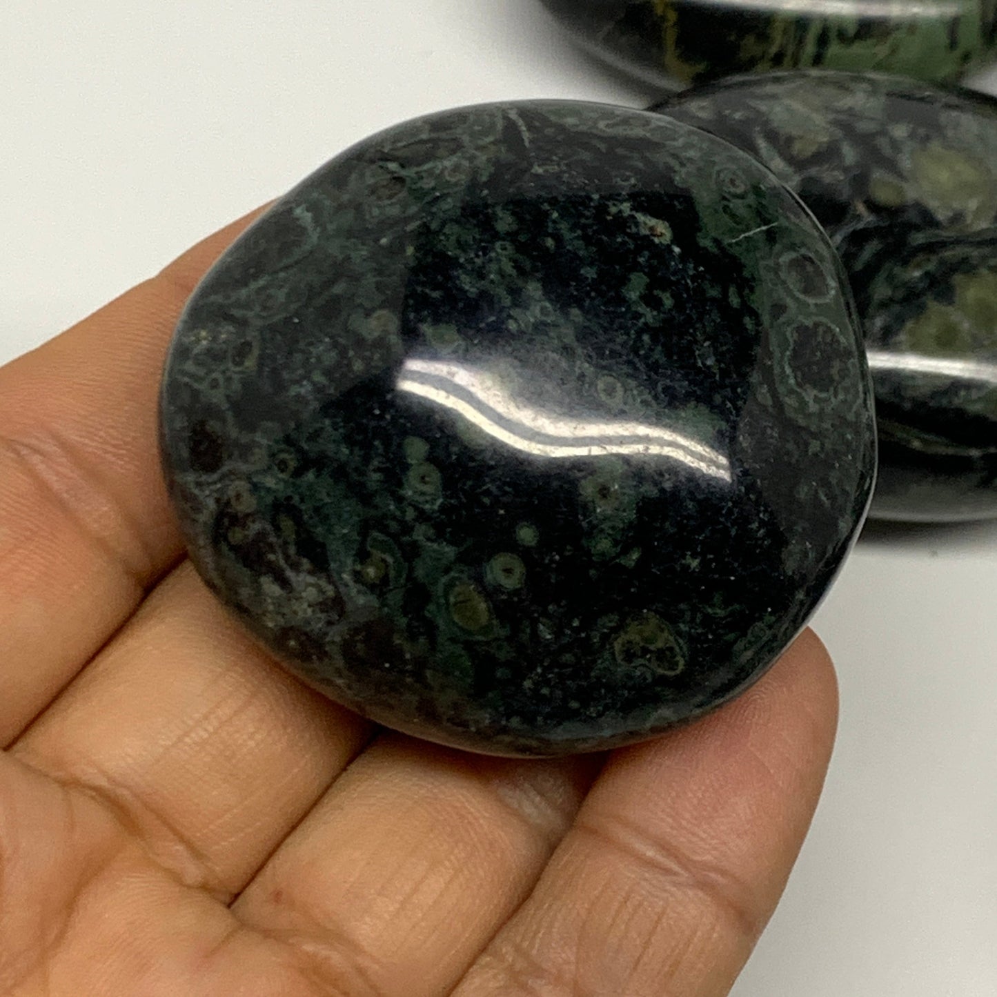 2.2 lbs (1000 Grams), 1.8"-2.3",13pcs, Kambaba Jasper Palm-Stone Polished,B28094