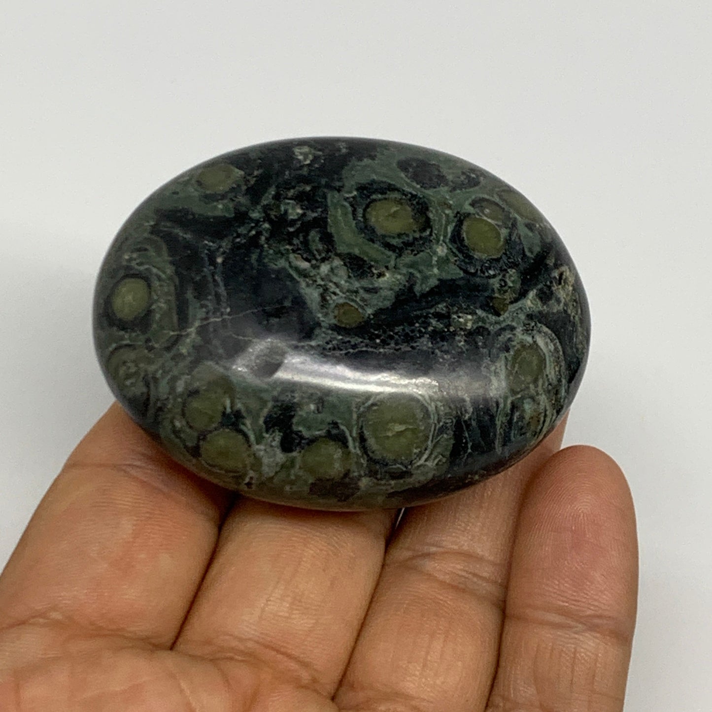 2.2 lbs (1000 Grams), 1.8"-2.3",13pcs, Kambaba Jasper Palm-Stone Polished,B28094