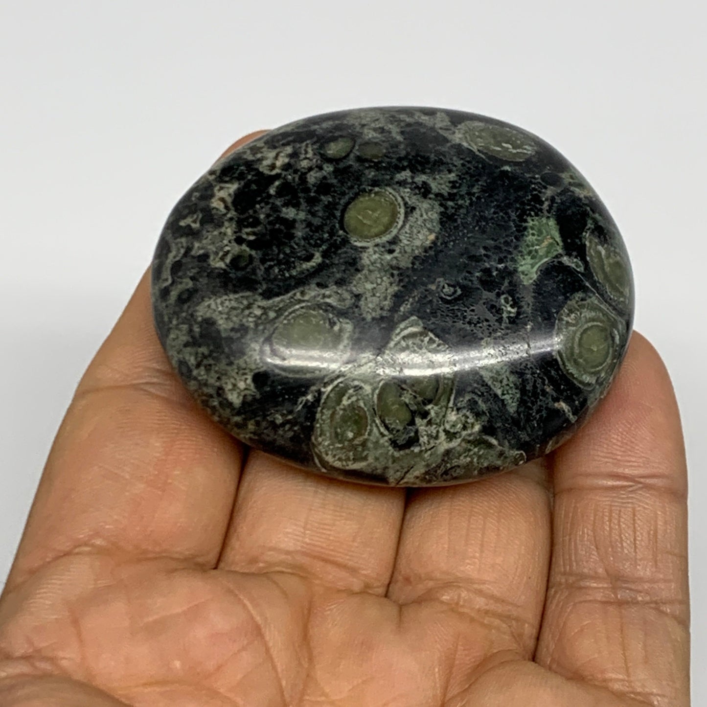 2.2 lbs (1000 Grams), 1.8"-2.3",13pcs, Kambaba Jasper Palm-Stone Polished,B28094