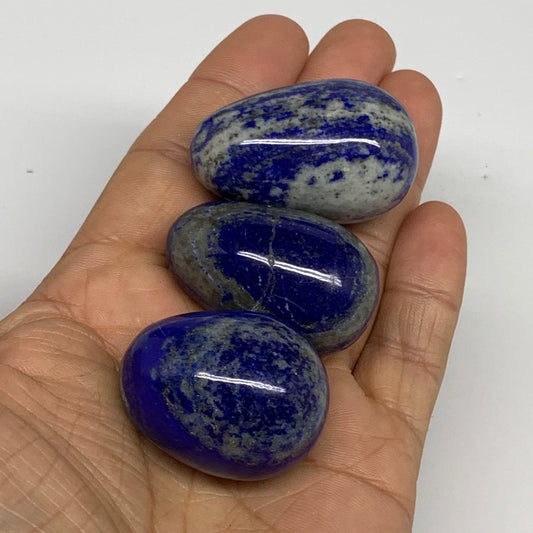 131g, 1.4"-1.8", 3pcs, Natural Lapis Lazuli Egg Polished @Afghanistan, B30436