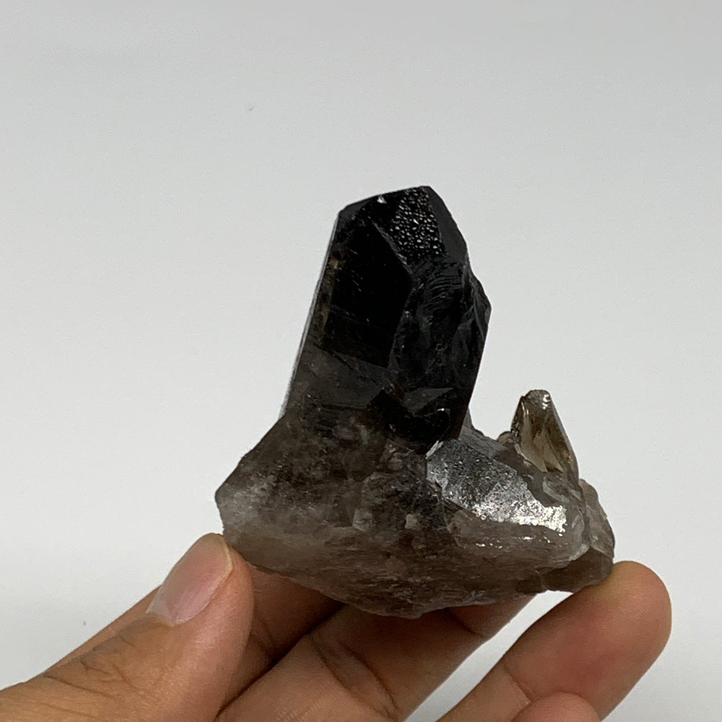 120.6g,3.2"x2.2"x1.6",Smoky Quartz Crystal Mineral,Specimen Terminated,B28974
