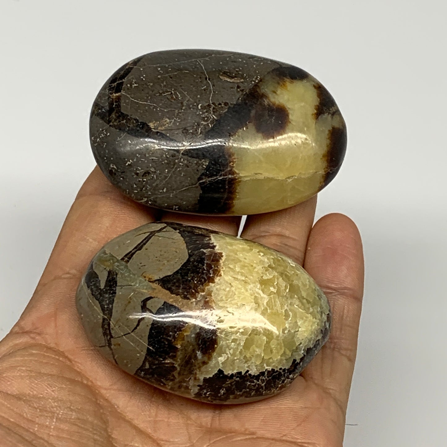 158.48g, 2.2"-2.3", 2pcs, Septarian Nodule Palm-Stone Polished Reiki Crystal, B2