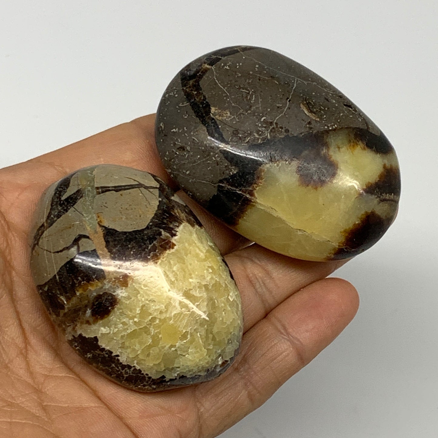 158.48g, 2.2"-2.3", 2pcs, Septarian Nodule Palm-Stone Polished Reiki Crystal, B2